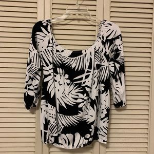 Fighting Eel Ava Sky Top Brooklyn, L